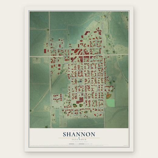 Shannon, Illinois map print, the full design