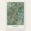 Cumming, Georgia map print, the full design