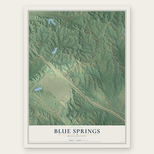 Blue Springs, Mississippi map print, the full design