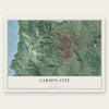 Carson City, Nevada map print, the full design