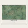 Stonefort, Illinois map print, the full design