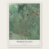 Morris Plains, New Jersey map print, the full design