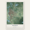 Monroe, Louisiana map print, the full design