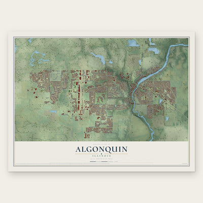 Algonquin, Illinois map print, the full design