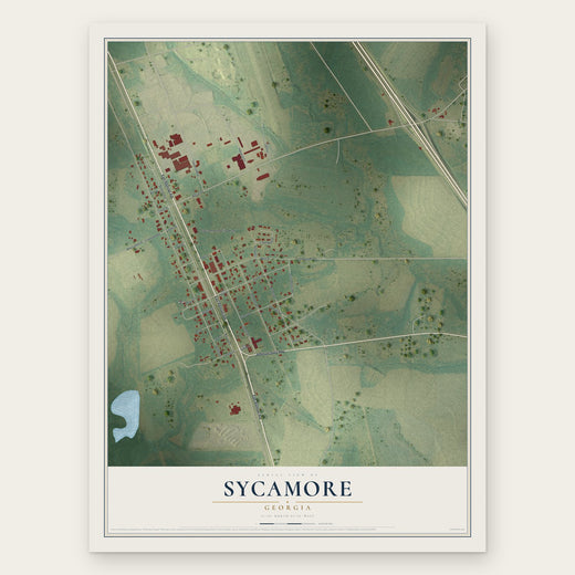 Sycamore, Georgia map print, the full design