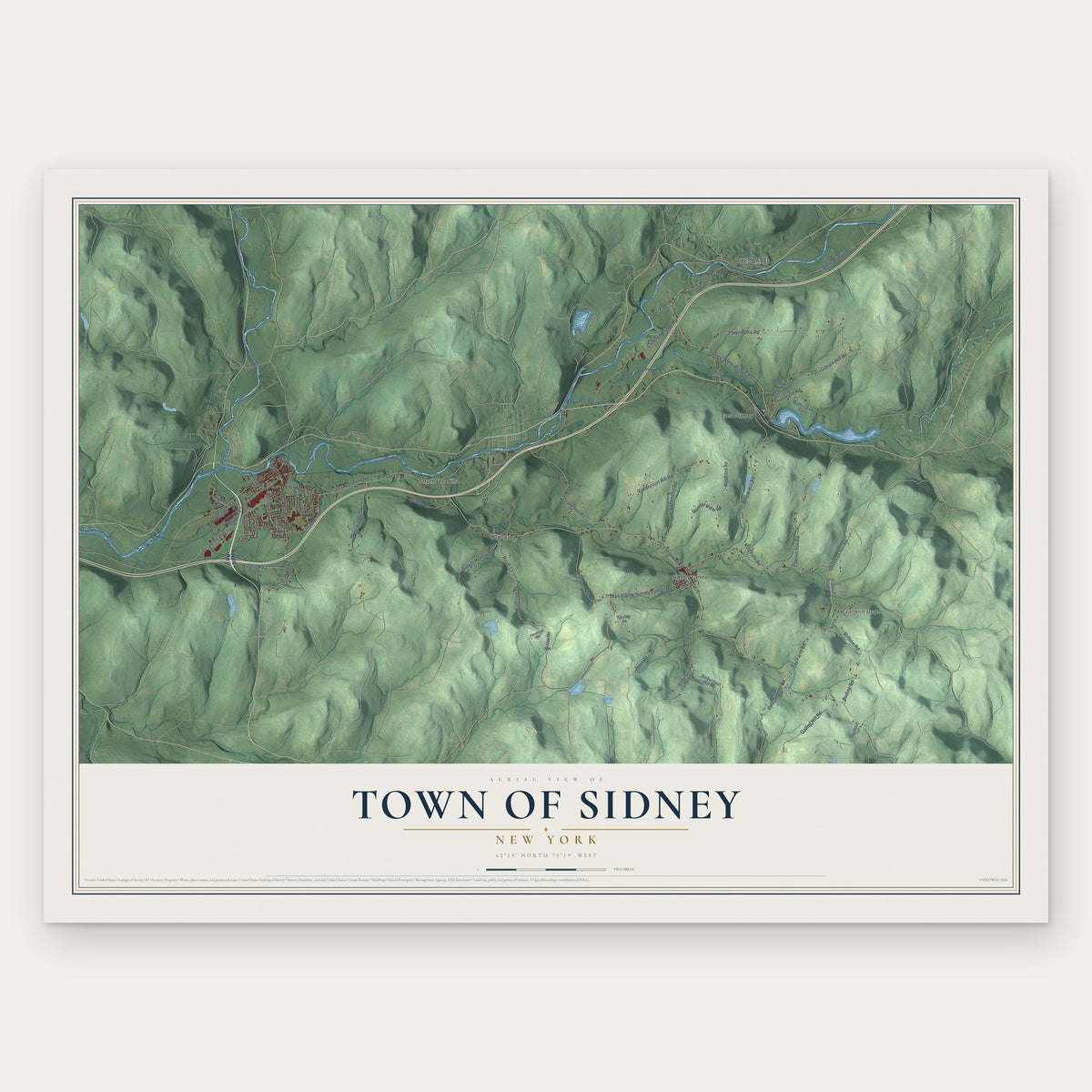 Town of Sidney, New York map print, the full design