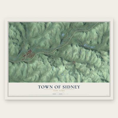 Town of Sidney, New York map print, the full design