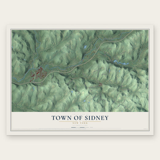 Town of Sidney, New York map print, the full design