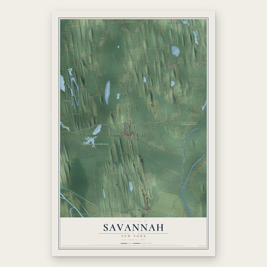Savannah, New York map print, the full design