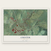 Chester, New York map print, the full design