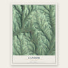 Candor, New York map print, the full design