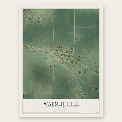 Walnut Hill, Illinois map print, the full design