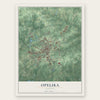 Opelika, Alabama map print, the full design