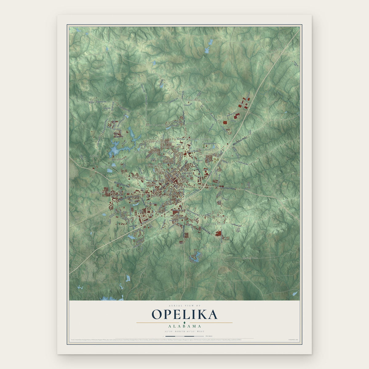 Opelika, Alabama map print, the full design