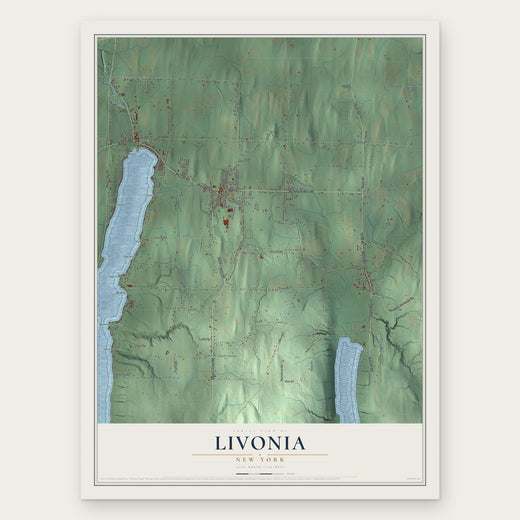 Livonia, New York map print, the full design