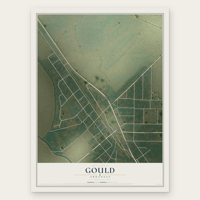 Gould, Arkansas map print, the full design
