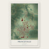 Princeville, Illinois map print, the full design