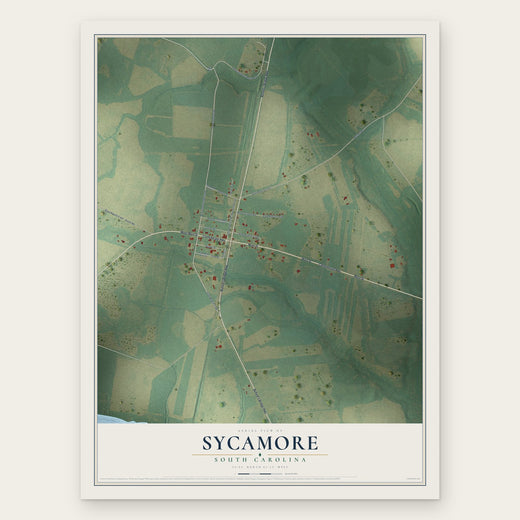 Sycamore, South Carolina map print, the full design