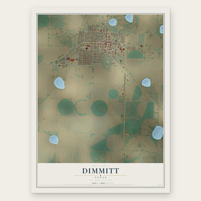 Dimmitt, Texas map print, the full design