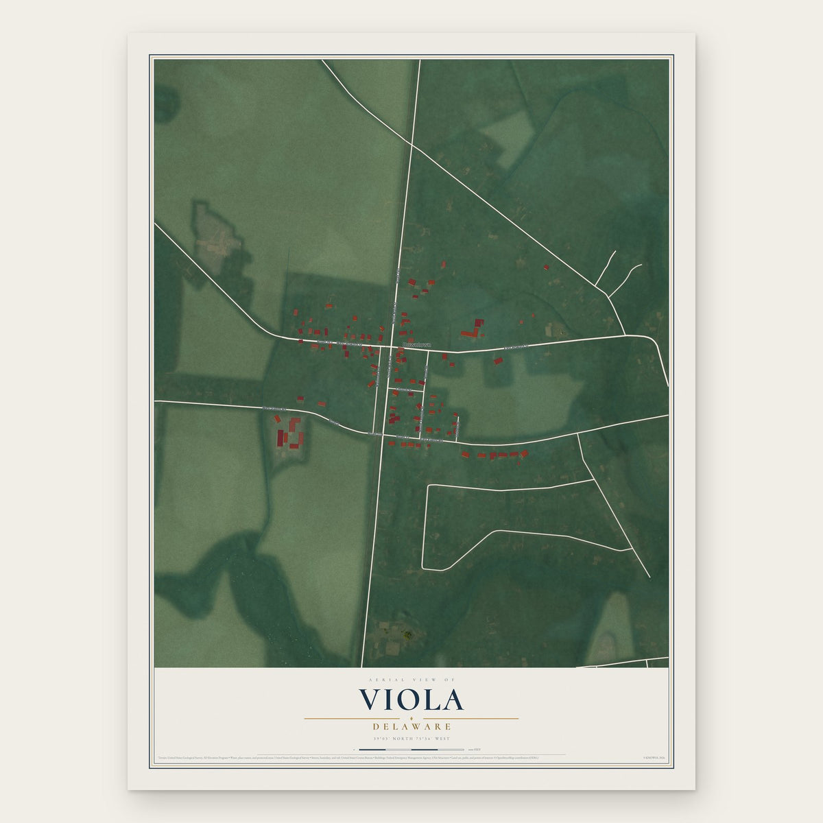 Viola, Delaware map print, the full design