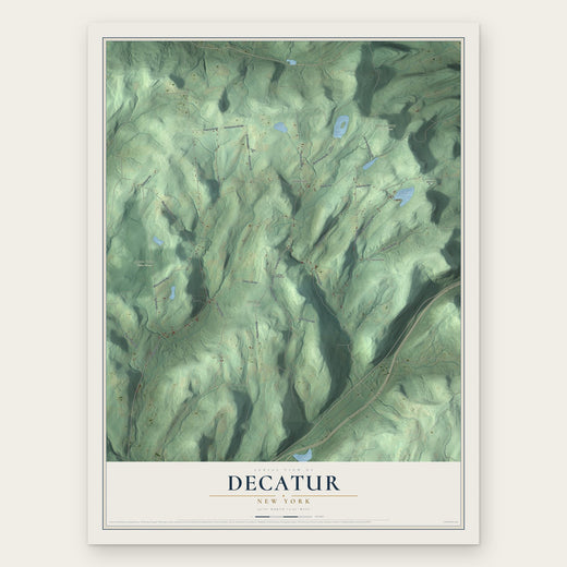 Decatur, New York map print, the full design