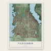Palm Harbor, Florida map print, the full design