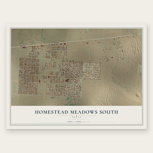 Homestead Meadows South, Texas map print, the full design