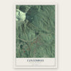 Columbus, North Carolina map print, the full design