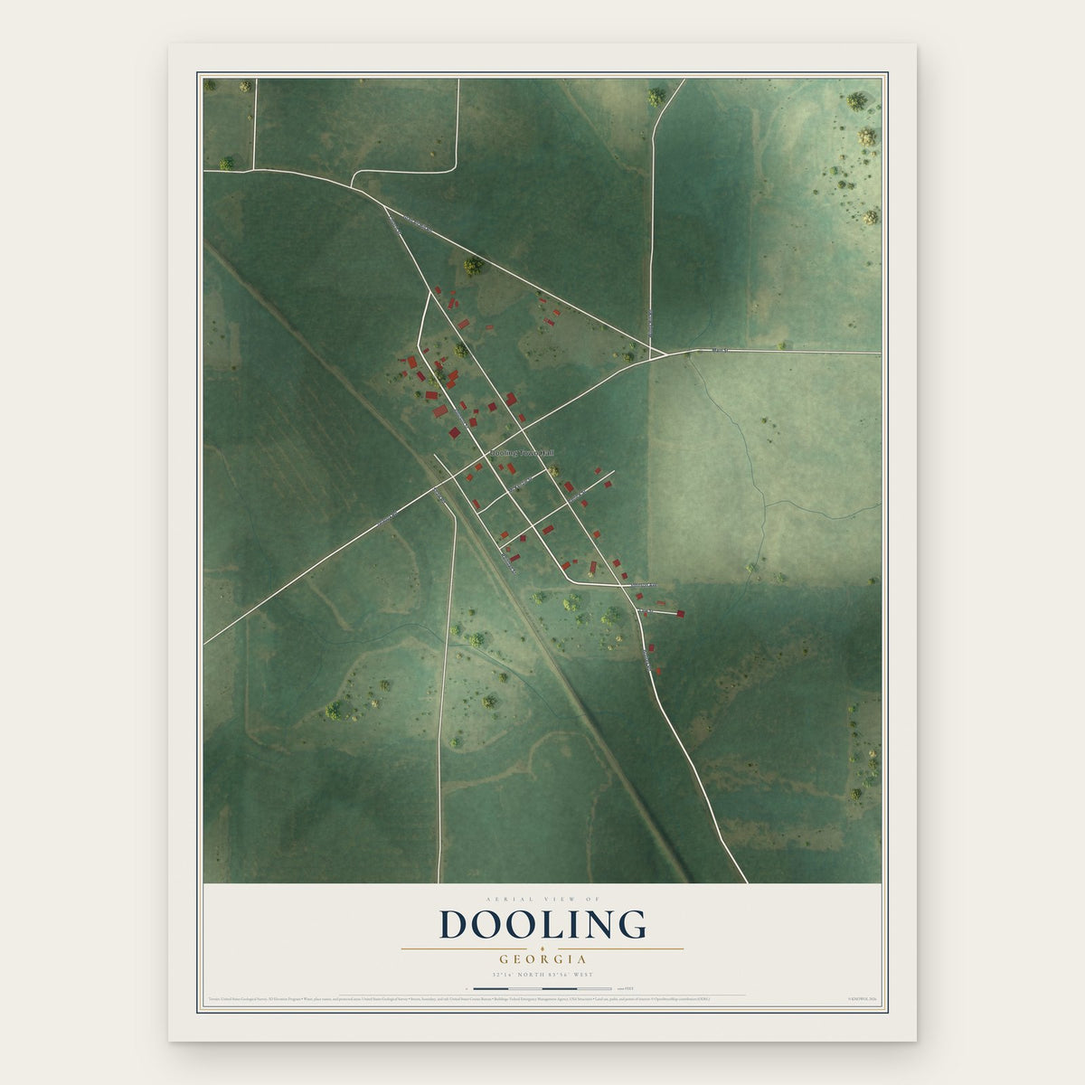 Dooling, Georgia map print, the full design