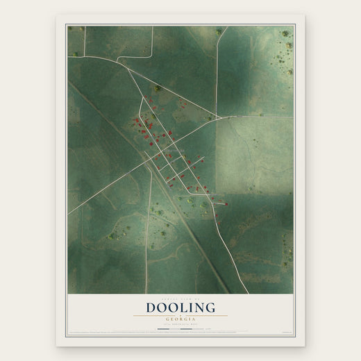 Dooling, Georgia map print, the full design