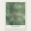 Montevideo, Minnesota map print, the full design