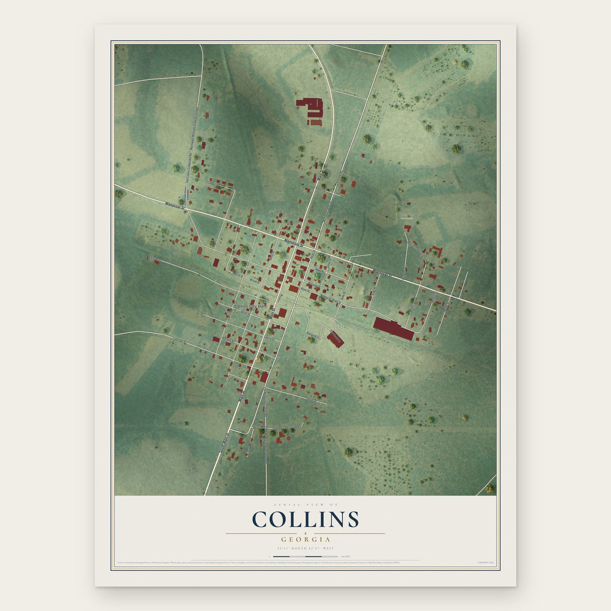 Collins, Georgia map print, the full design