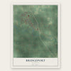 Bridgeport, Michigan map print, the full design
