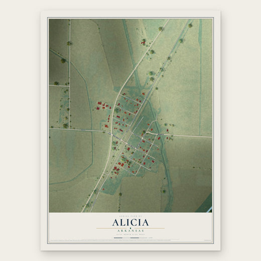 Alicia, Arkansas map print, the full design