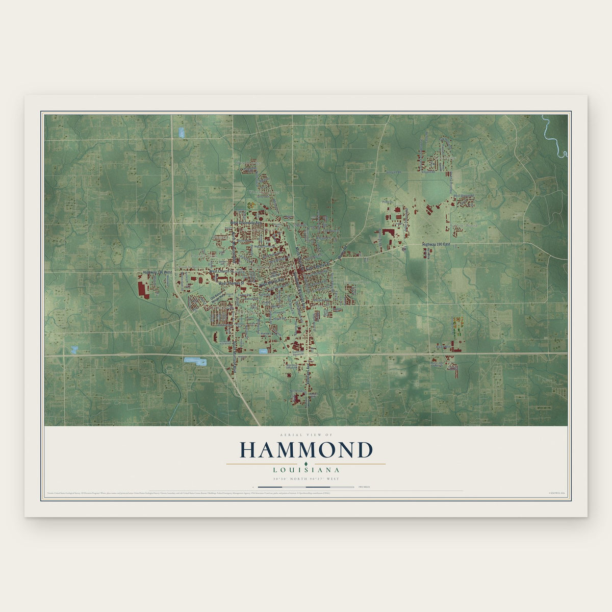 Hammond, Louisiana map print, the full design