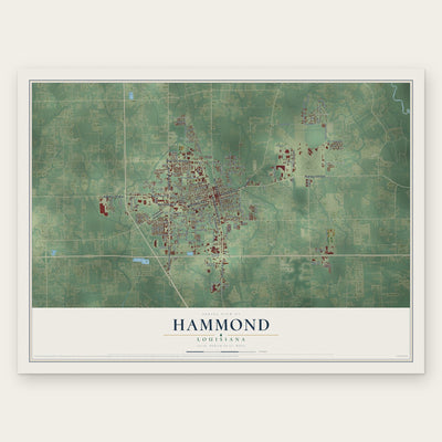 Hammond, Louisiana map print, the full design