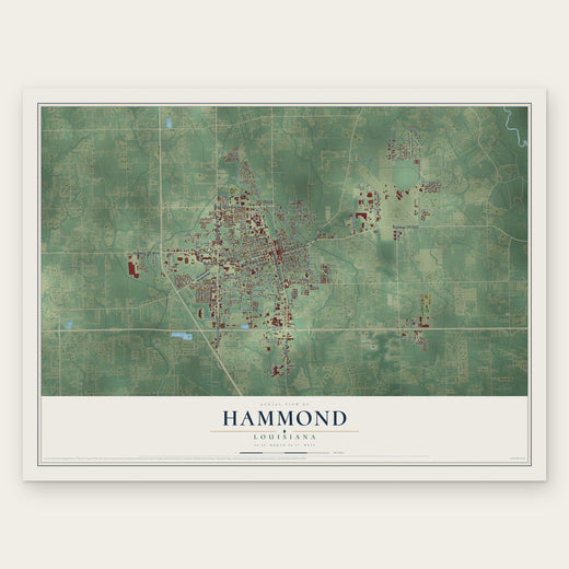 Hammond, Louisiana map print, the full design