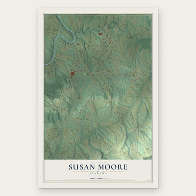 Susan Moore, Alabama map print, the full design