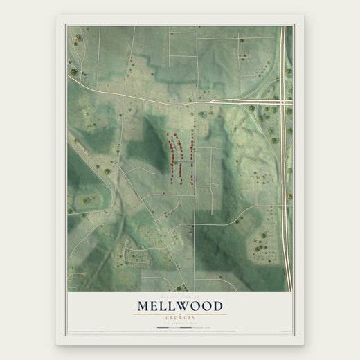 Mellwood, Georgia map print, the full design