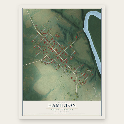 Hamilton, North Carolina map print, the full design