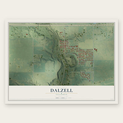 Dalzell, Illinois map print, the full design