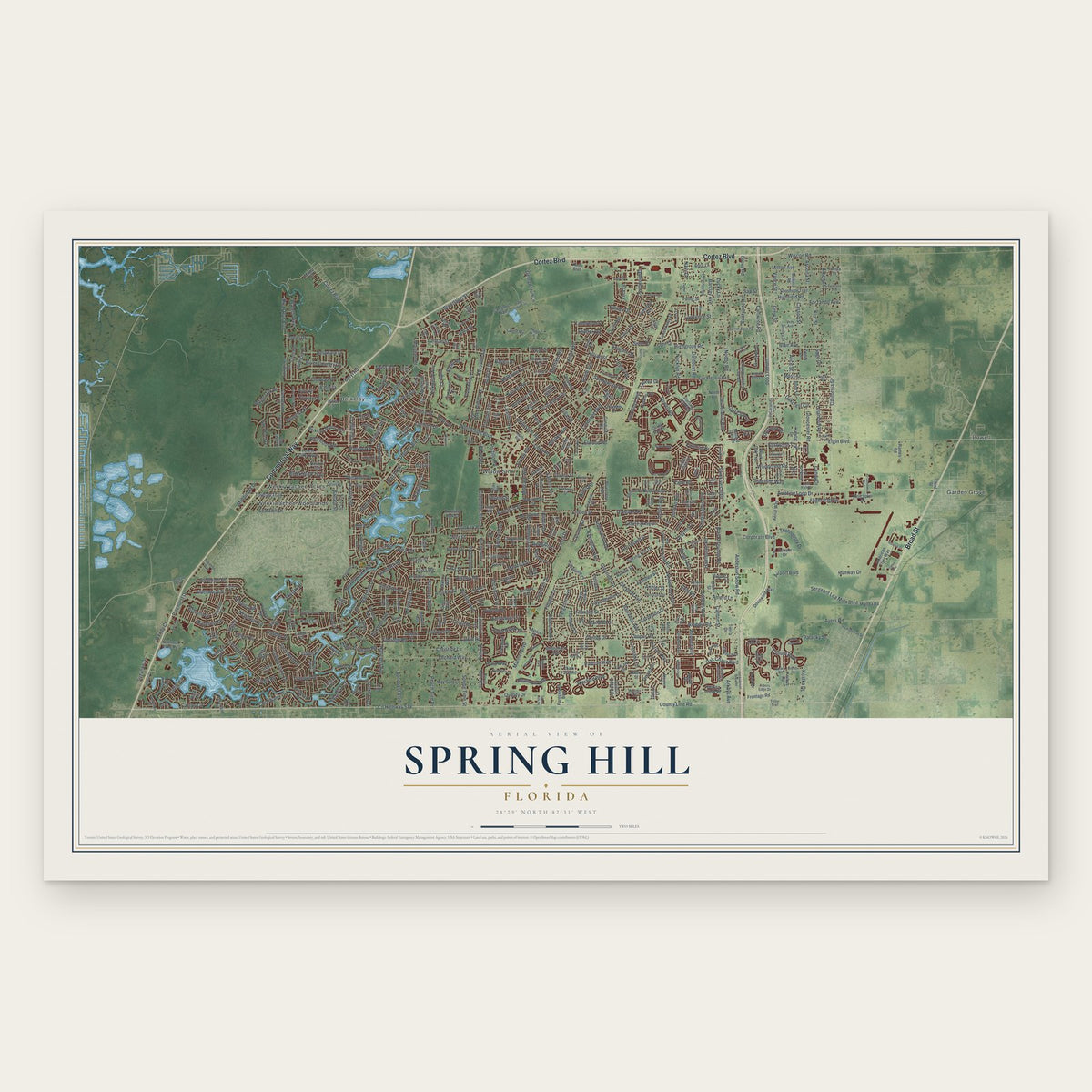 Spring Hill, Florida map print, the full design