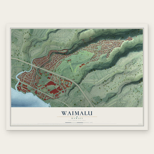 Waimalu, Hawaii map print, the full design