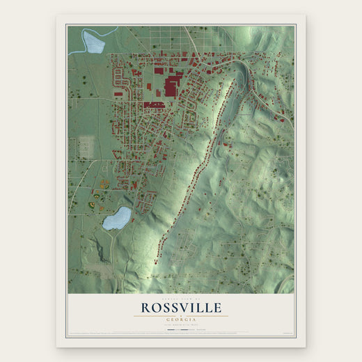 Rossville, Georgia map print, the full design
