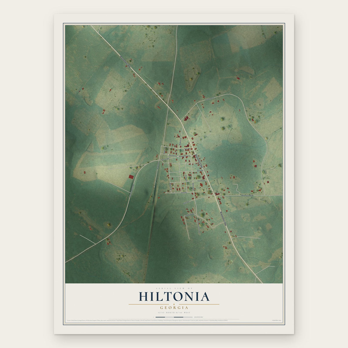 Hiltonia, Georgia map print, the full design
