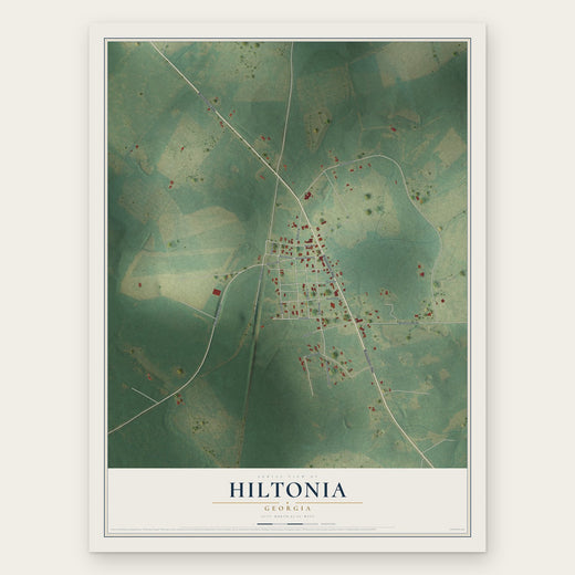 Hiltonia, Georgia map print, the full design
