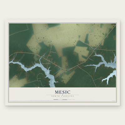 Mesic, North Carolina map print, the full design