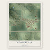 Congerville, Illinois map print, the full design