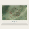 Beasley, Texas map print, the full design