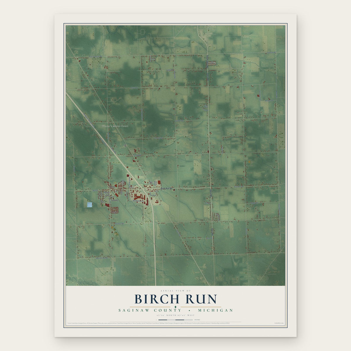 Birch Run, Saginaw County, Michigan map print, the full design